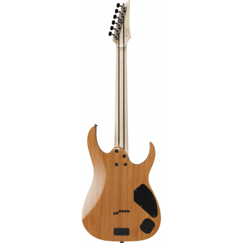 Ibanez RG5121R LDBF Prestige Electric Guitar with Case — view 2