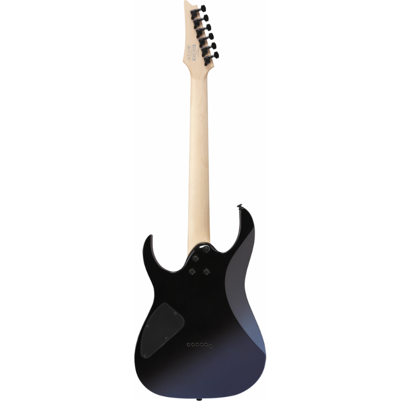 Ibanez RG421DXTWS Electric Guitar — view 2