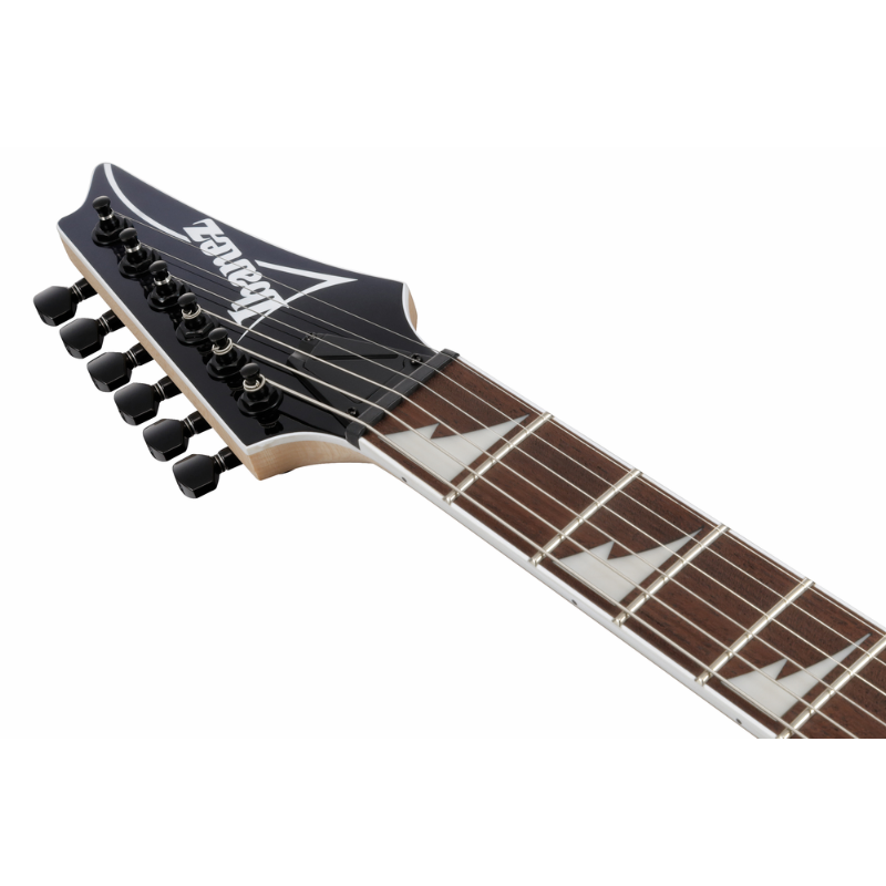 Ibanez RG421DXTWS Electric Guitar — view 4