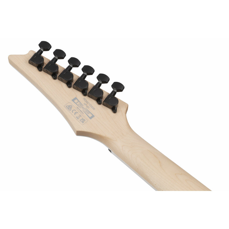 Ibanez RG421DXTWS Electric Guitar — view 5