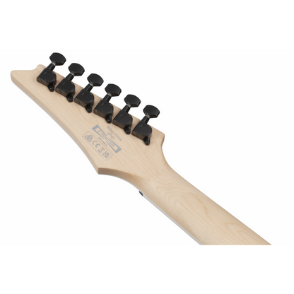 Ibanez RG421DXTWS Electric Guitar — view 5