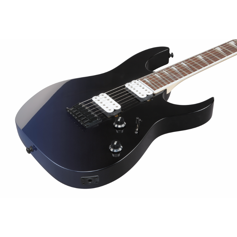Ibanez RG421DXTWS Electric Guitar — view 3