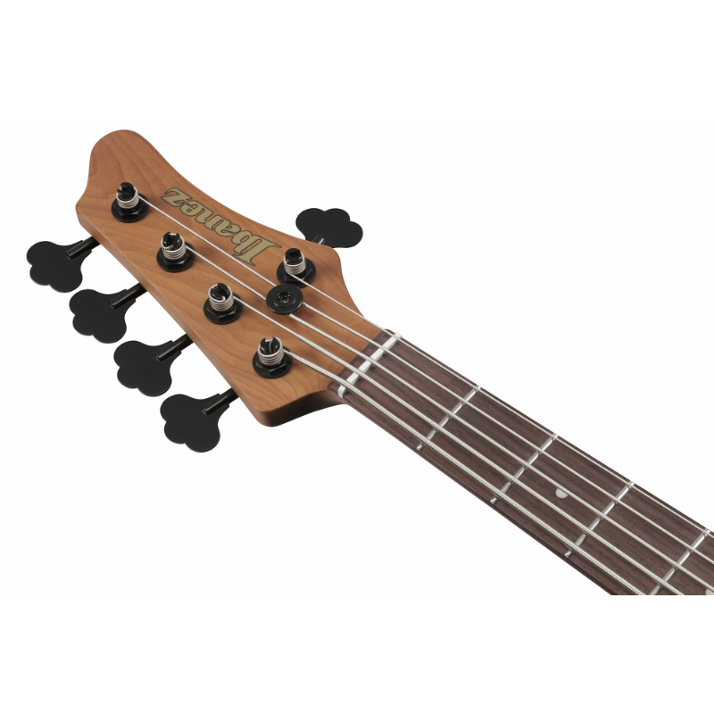 Ibanez MDM1605NML Electric Bass 5 String — view 4