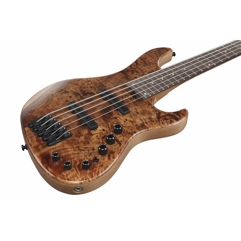 Ibanez MDM1605NML Electric Bass 5 String — view 3