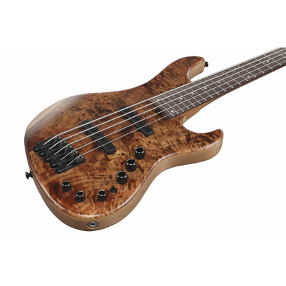 Ibanez MDM1605NML Electric Bass 5 String — view 3