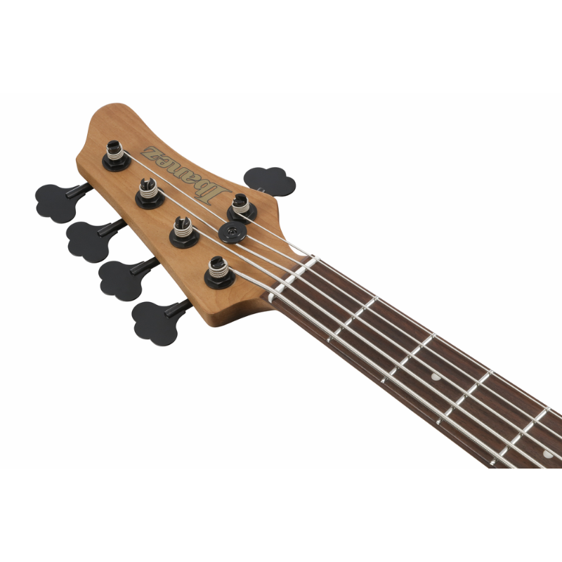 Ibanez MDM1605DTW Electric Bass 5 String — view 4