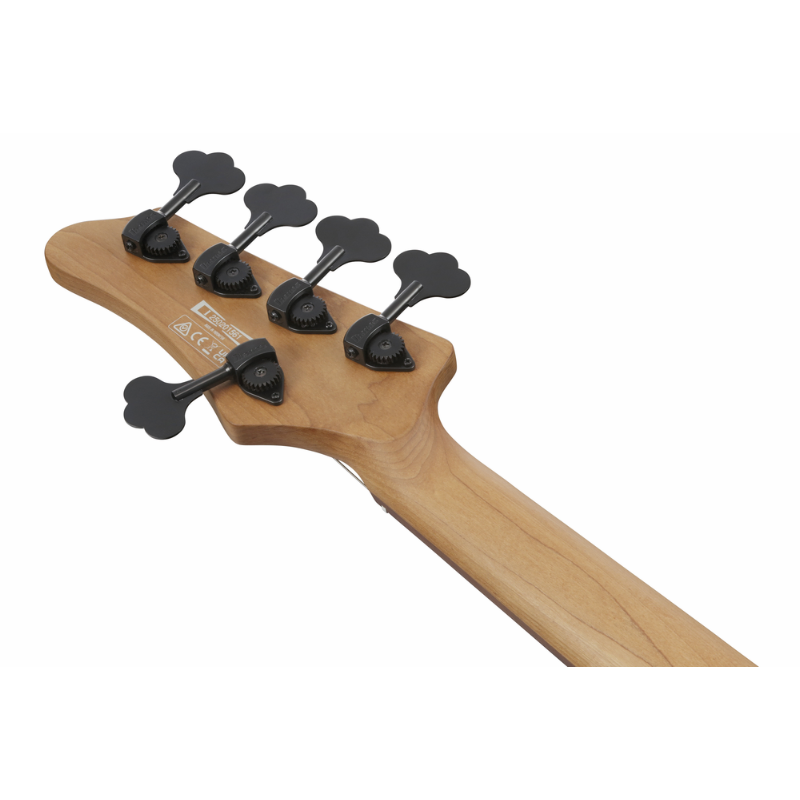 Ibanez MDM1605DTW Electric Bass 5 String — view 5