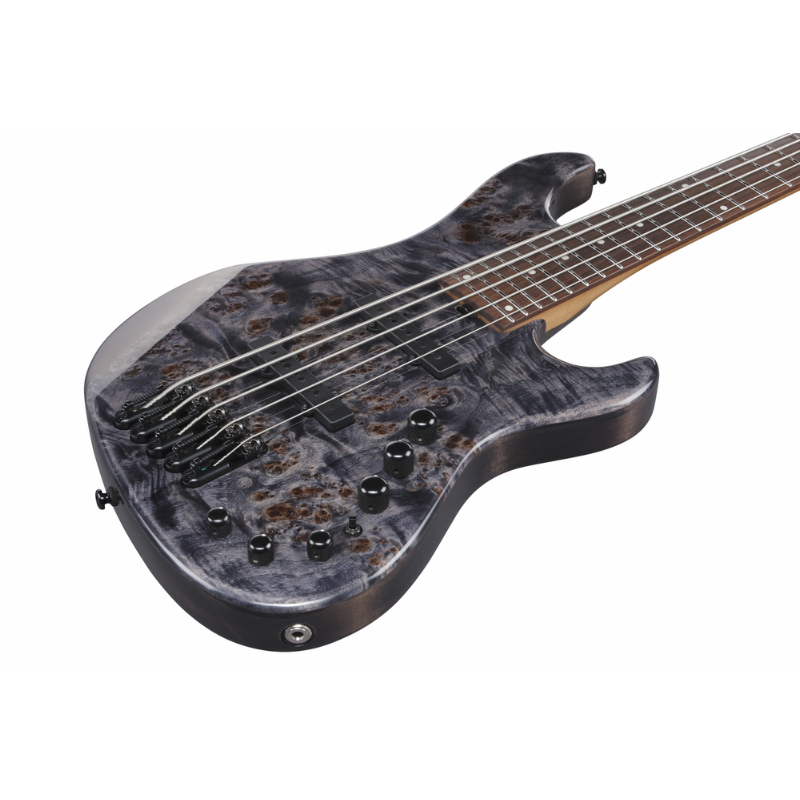 Ibanez MDM1605DTW Electric Bass 5 String — view 3