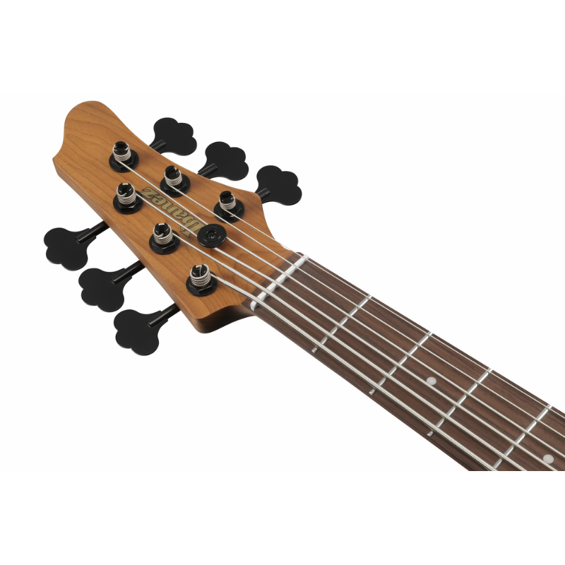Ibanez MDM1006PW Electric Bass 6 String — view 4