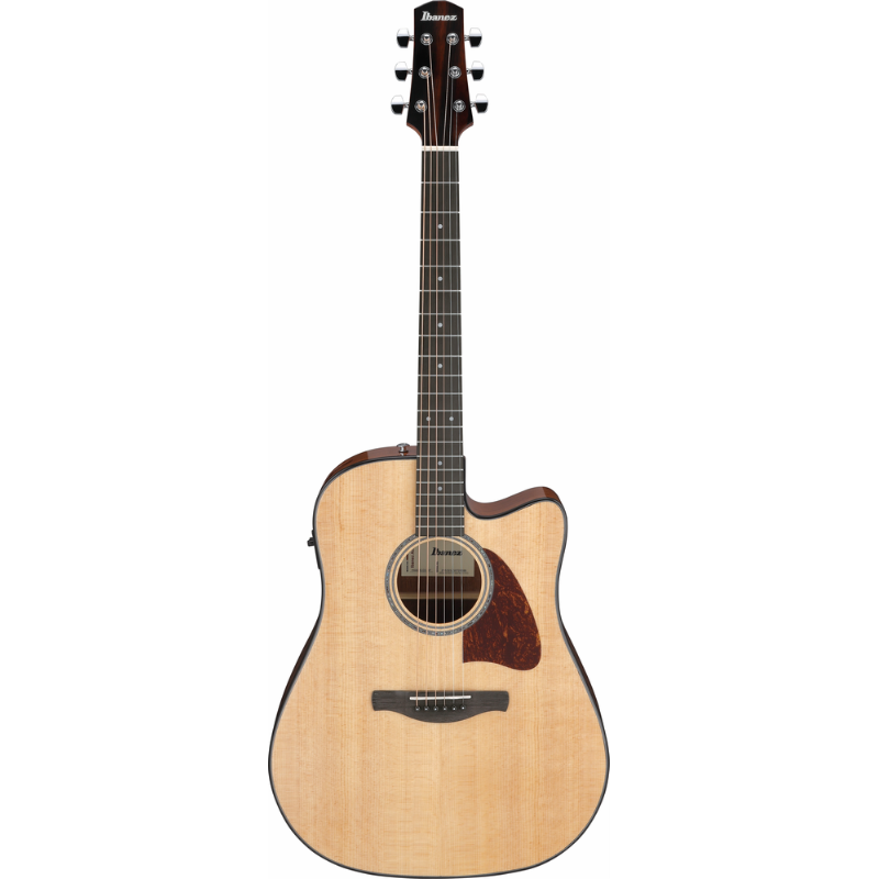 Ibanez AAD51CENT Acoustic Guitar with Pickup