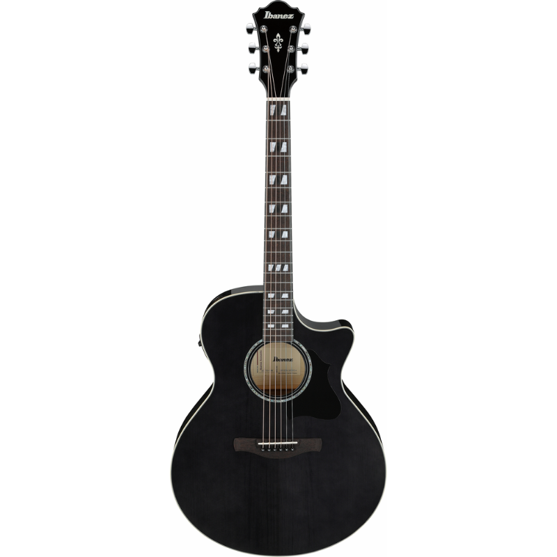 Ibanez AE170TBK Acoustic Guitar with Pickup