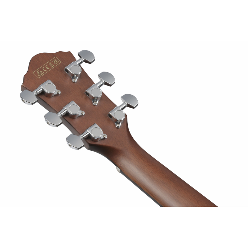 Ibanez AEWC16QA TEH Acoustic Guitar with Pickup — view 5