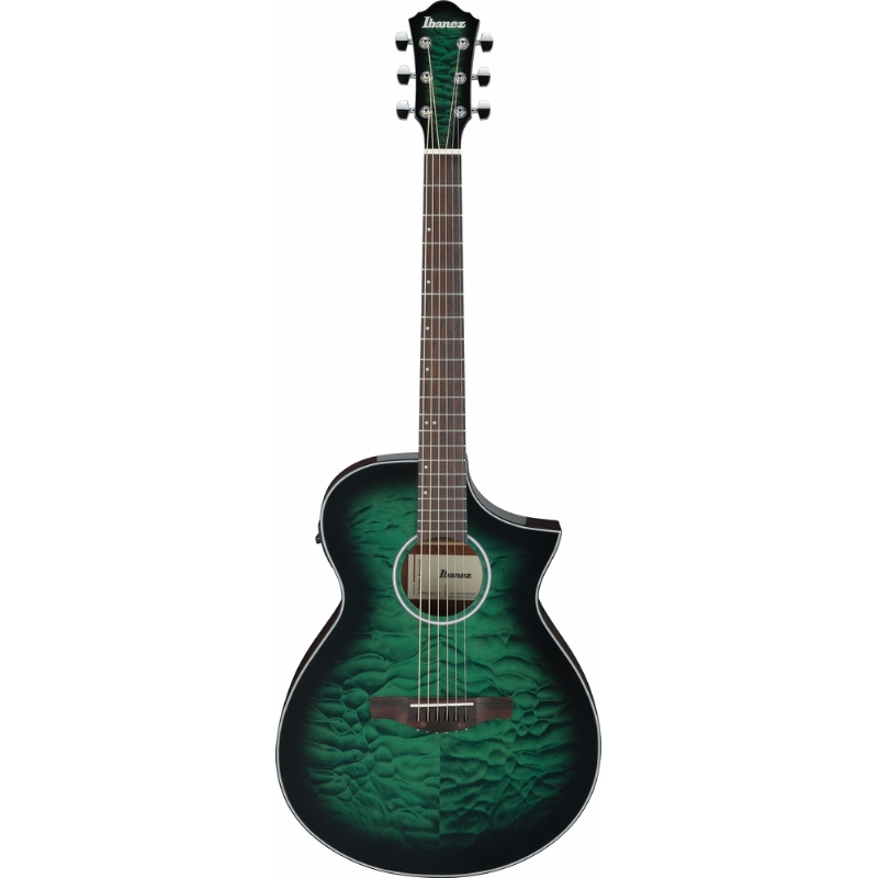 Ibanez AEWC16QA TEH Acoustic Guitar with Pickup