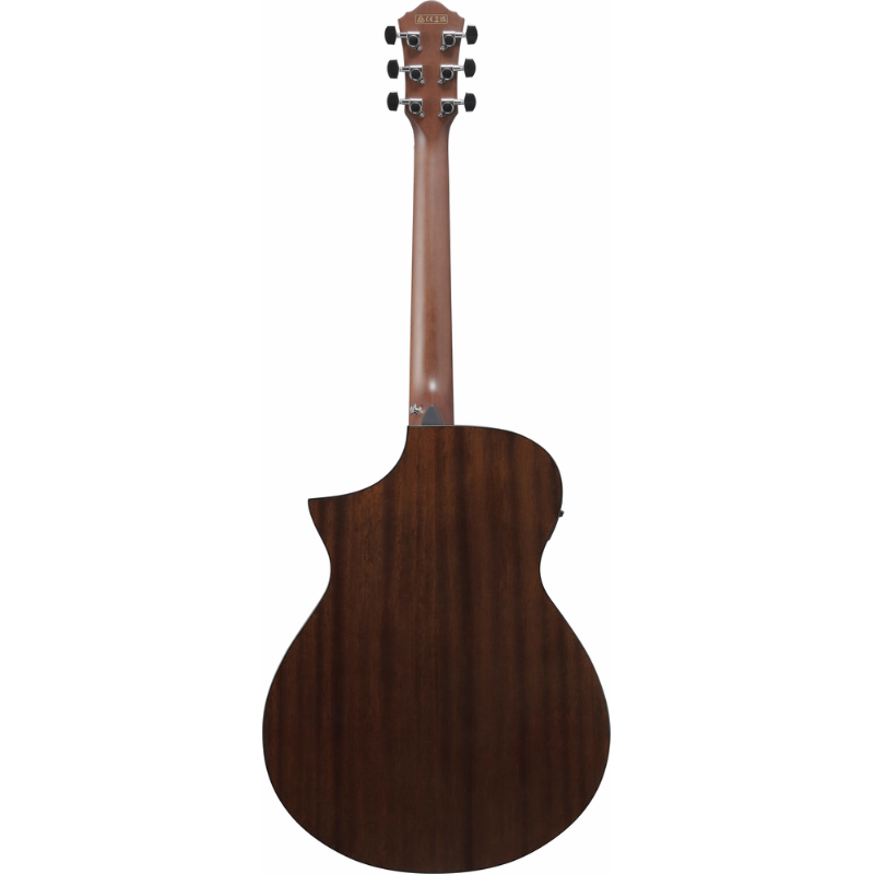 Ibanez AEWC16QA TEH Acoustic Guitar with Pickup — view 2