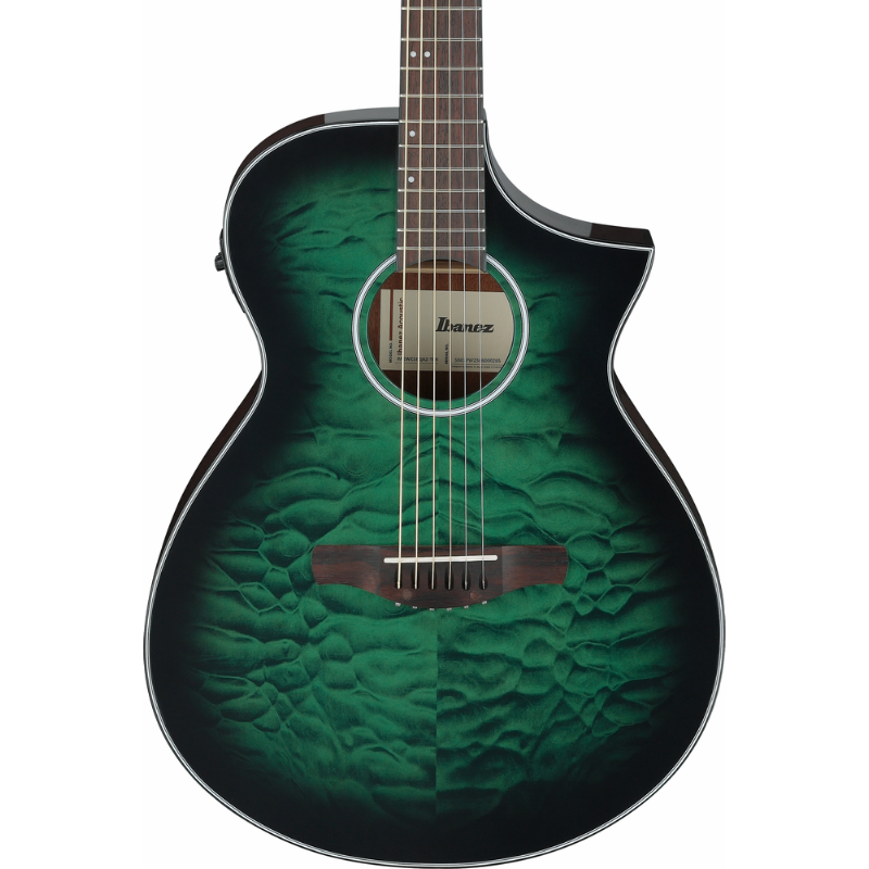 Ibanez AEWC16QA TEH Acoustic Guitar with Pickup — view 6