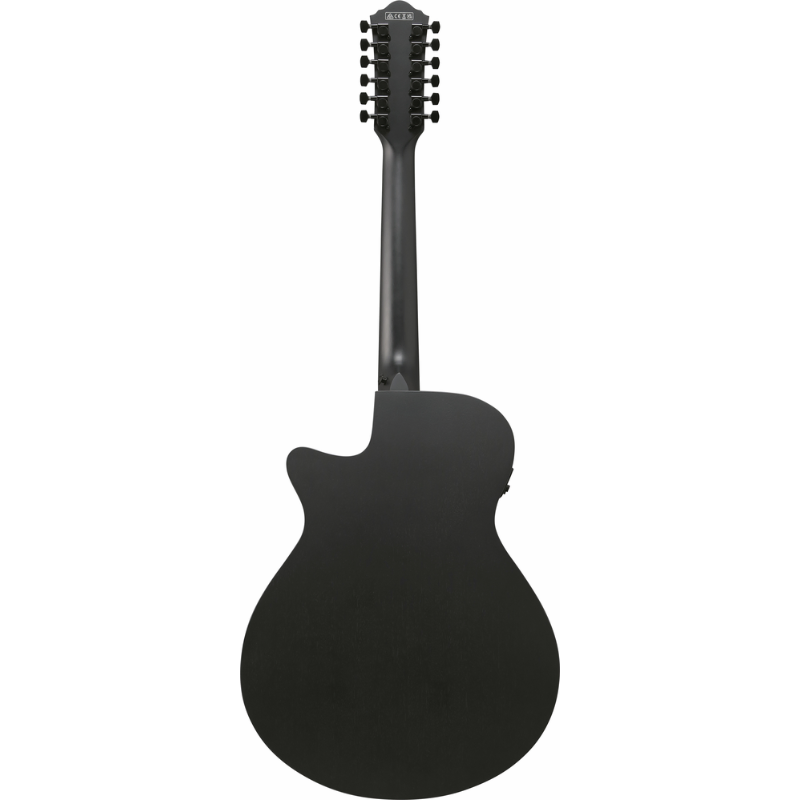 Ibanez AEG1221 BOT Acoustic Guitar with Pickup — view 2
