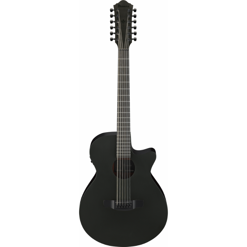 Ibanez AEG1221 BOT Acoustic Guitar with Pickup