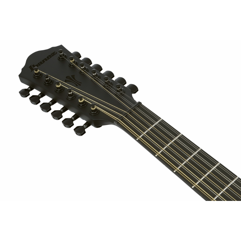 Ibanez AEG1221 BOT Acoustic Guitar with Pickup — view 4