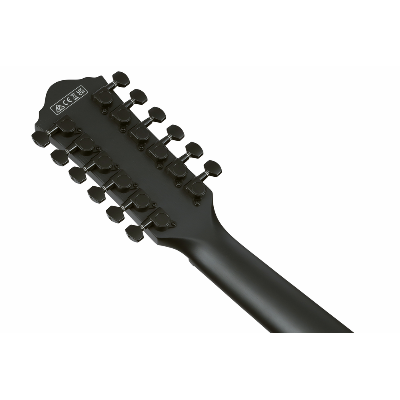 Ibanez AEG1221 BOT Acoustic Guitar with Pickup — view 5