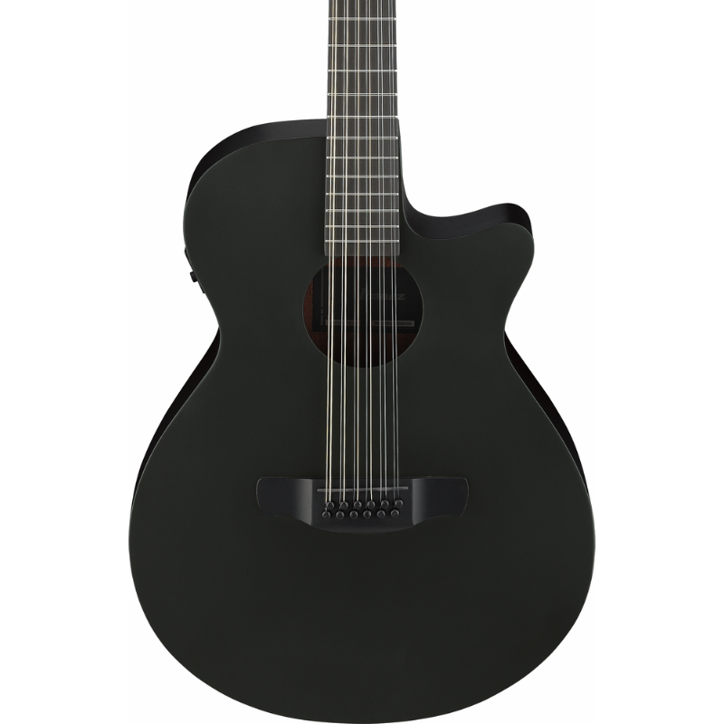 Ibanez AEG1221 BOT Acoustic Guitar with Pickup — view 6
