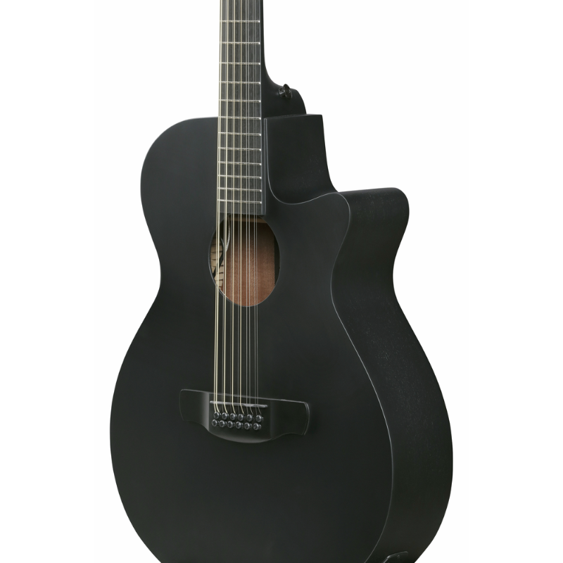 Ibanez AEG1221 BOT Acoustic Guitar with Pickup — view 3