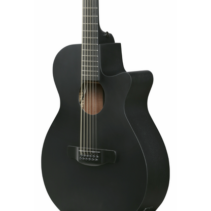 Ibanez AEG1221 BOT Acoustic Guitar with Pickup — view 3