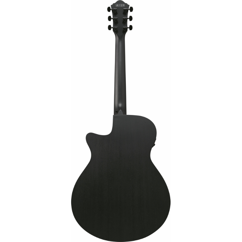 Ibanez AEG621 BOT Acoustic Guitar with Pickup — view 2