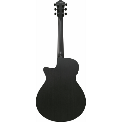 Ibanez AEG621 BOT Acoustic Guitar with Pickup — view 2