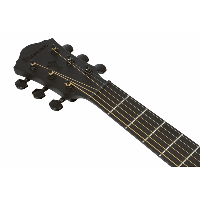 Ibanez AEG621 BOT Acoustic Guitar with Pickup — view 4