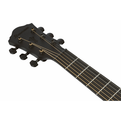 Ibanez AEG621 BOT Acoustic Guitar with Pickup — view 4