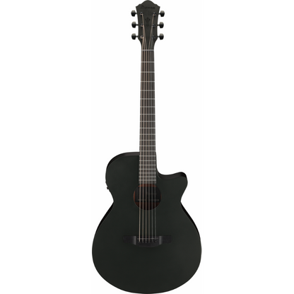 Ibanez AEG621 BOT Acoustic Guitar with Pickup
