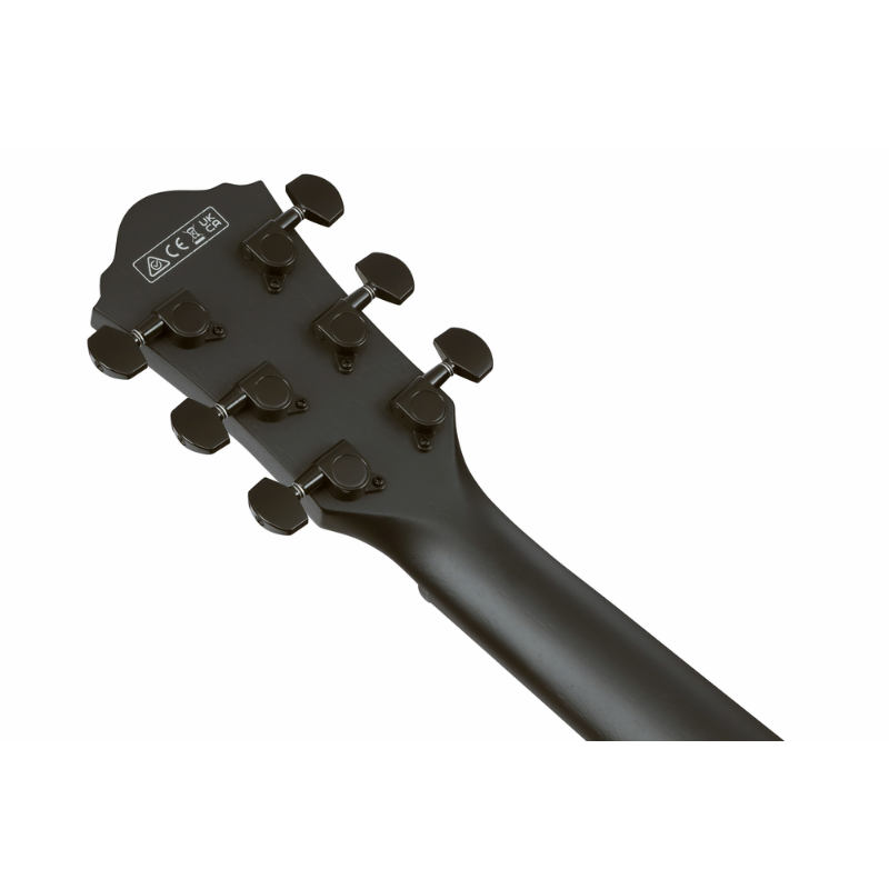 Ibanez AEG621 BOT Acoustic Guitar with Pickup — view 5