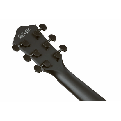 Ibanez AEG621 BOT Acoustic Guitar with Pickup — view 5