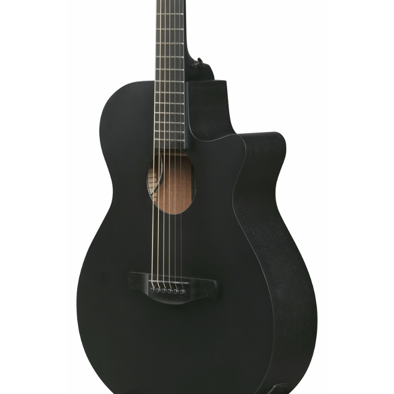 Ibanez AEG621 BOT Acoustic Guitar with Pickup — view 3