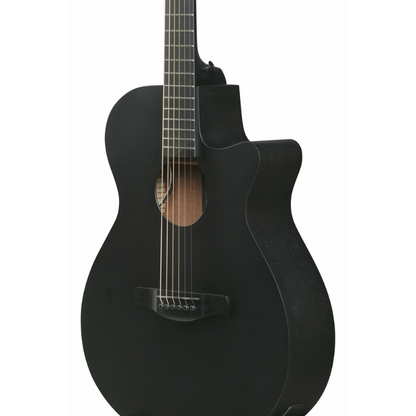 Ibanez AEG621 BOT Acoustic Guitar with Pickup — view 3