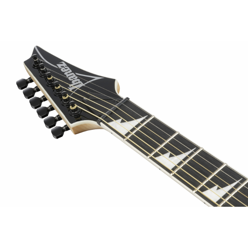 Ibanez Altstar ALT50FA BDB Acoustic Guitar — view 4
