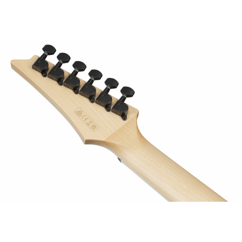 Ibanez Alt50FA RDB Acoustic Guitar — view 5