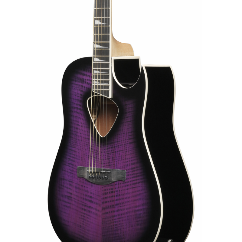 Ibanez Altstar ALT50FA TVT Acoustic Guitar — view 3