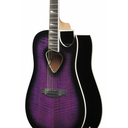 Ibanez Altstar ALT50FA TVT Acoustic Guitar — view 3