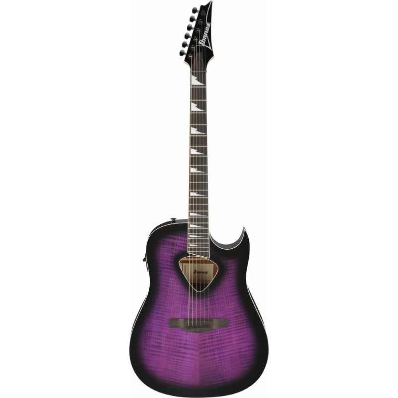 Ibanez Altstar ALT50FA TVT Acoustic Guitar