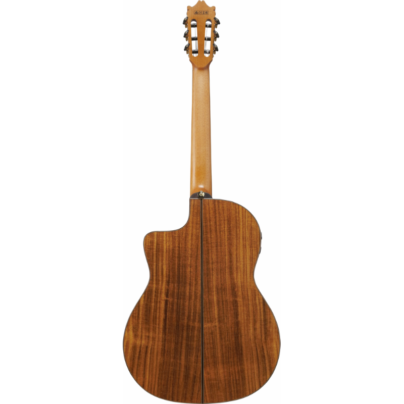 Ibanez GA360TCE NT Nylon String Guitar — view 2