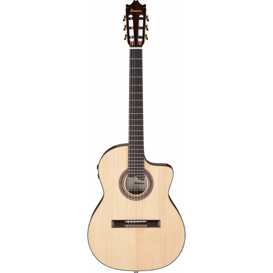 Ibanez GA360TCE NT Nylon String Guitar