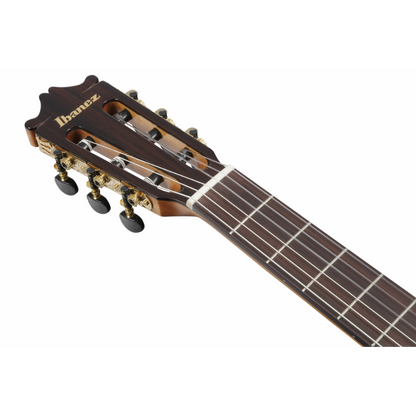 Ibanez GA360TCET BK Nylon String Guitar — view 4