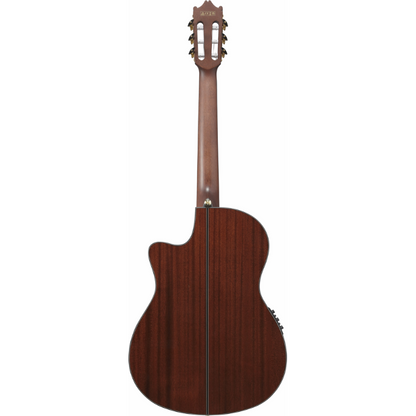 Ibanez GA35TCE NT Nylon String Guitar — view 2