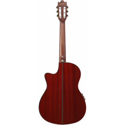 Ibanez GA35TCE SRR Nylon String Guitar — view 2