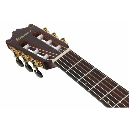 Ibanez GA35TCE SRR Nylon String Guitar — view 4