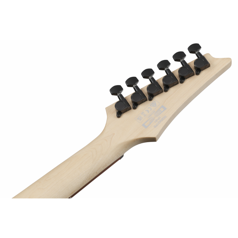 Ibanez RGR431PB CGF Electric Guitar — view 5