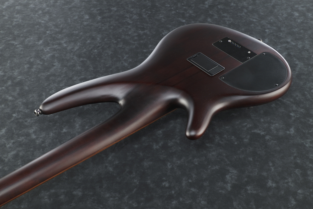 Ibanez SRF700 BBF Electric Bass (Brown Burst Flat) — view 2