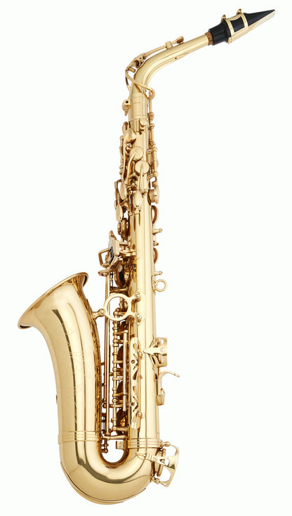 Beale Sx200 Alto Saxophone — view 2