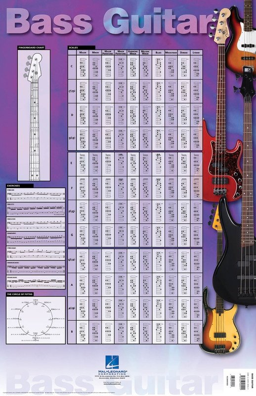 Bass Guitar Poster 22 x 34 (Hal Leonard)